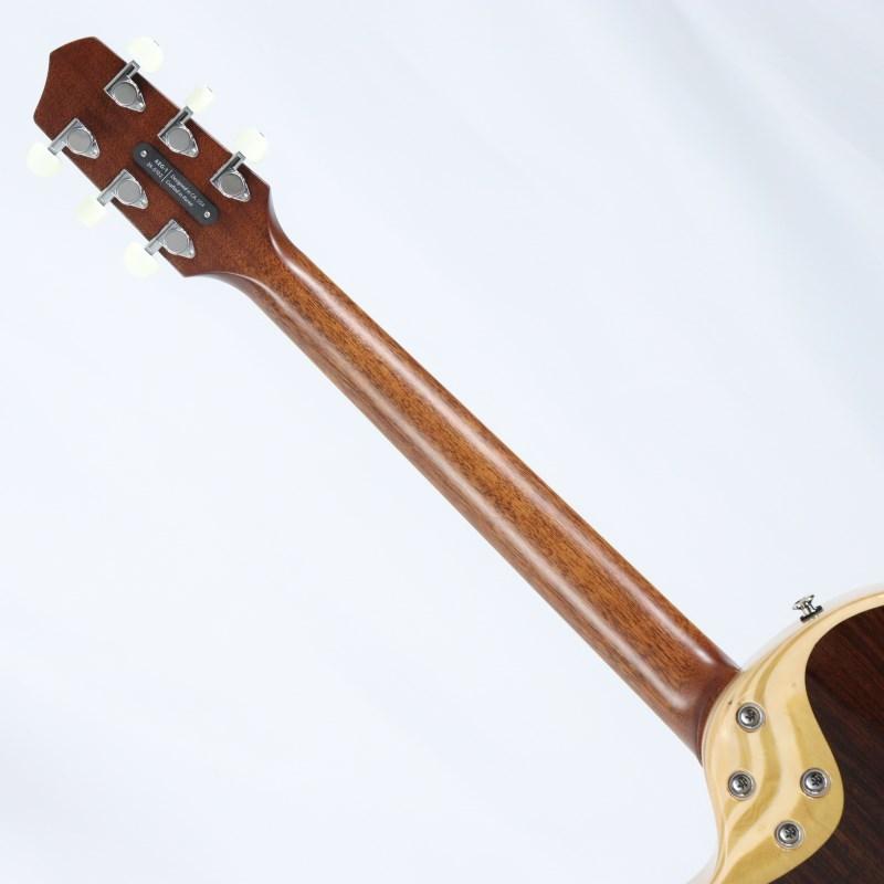 L.R.Baggs AEG-1 NAT エルアールバックスの画像