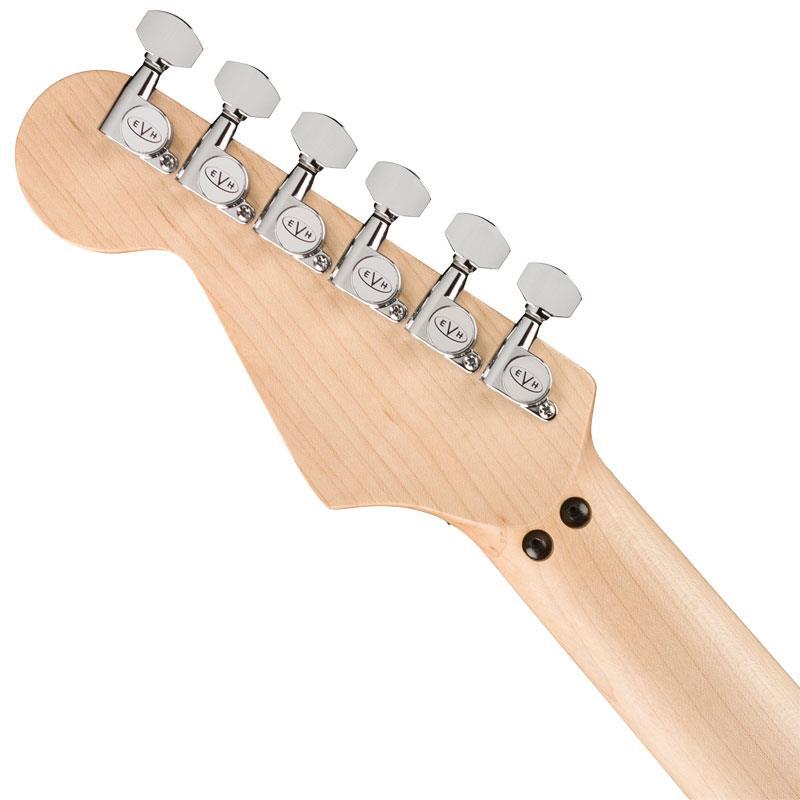 EVH Striped Series Circles (White and Black/Maple) : 渋谷イケベ