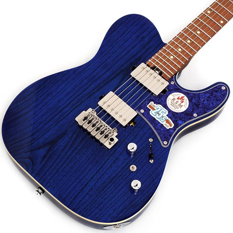 Bacchus（バッカス） Bacchus Global Series TACTICS-24ASH/RSM (STB