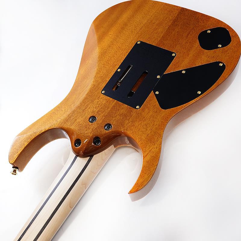 Ibanez（アイバニーズ） Ibanez Ikebe 50th Anniversary j.custom