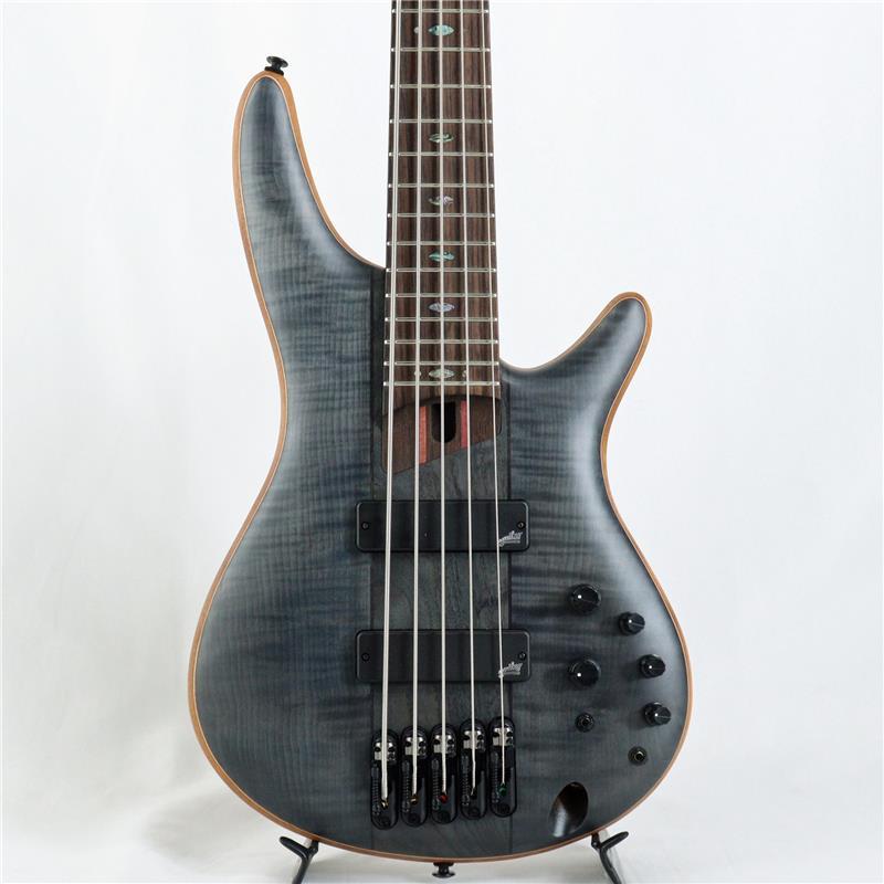 Ibanez アイバニーズ Ibanez（アイバニーズ） Ibanez SR1455DW-TGF 【国内イケベ独占販売