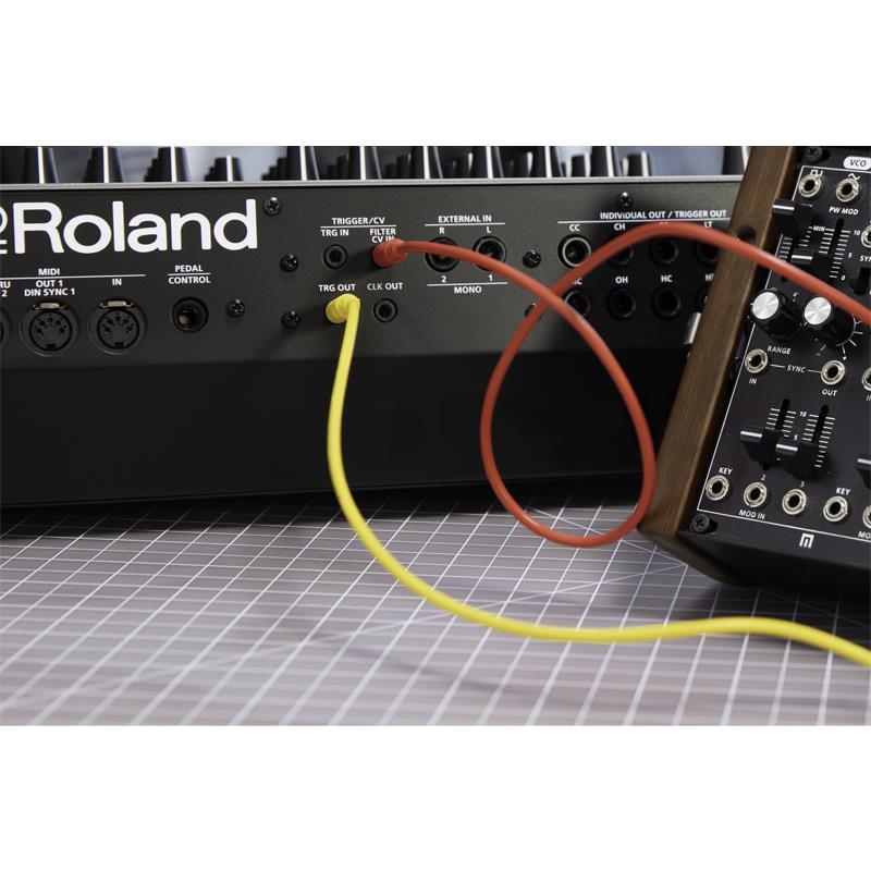 ★半値以下の美品★ローランドRP101-MH（引取限定） ローランド（Roland） (予約商品・2026年以降・入荷時期完全未定)TR