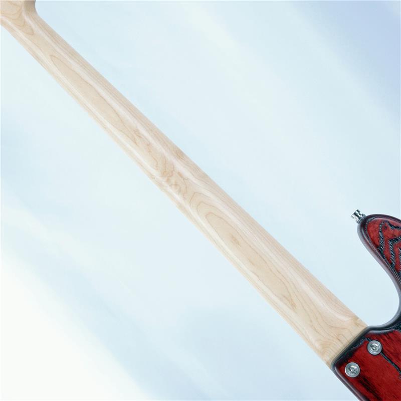 Sadowsky Guitars MetroLine 21-Fret Vintage J/J Bass 4st (SBG) [Ikebe 50th Anniversary Special Edition] #005982の画像