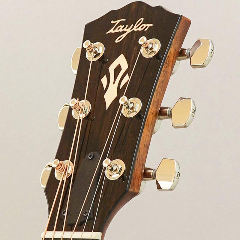 TAYLOR Gold Label 517e テイラーの画像