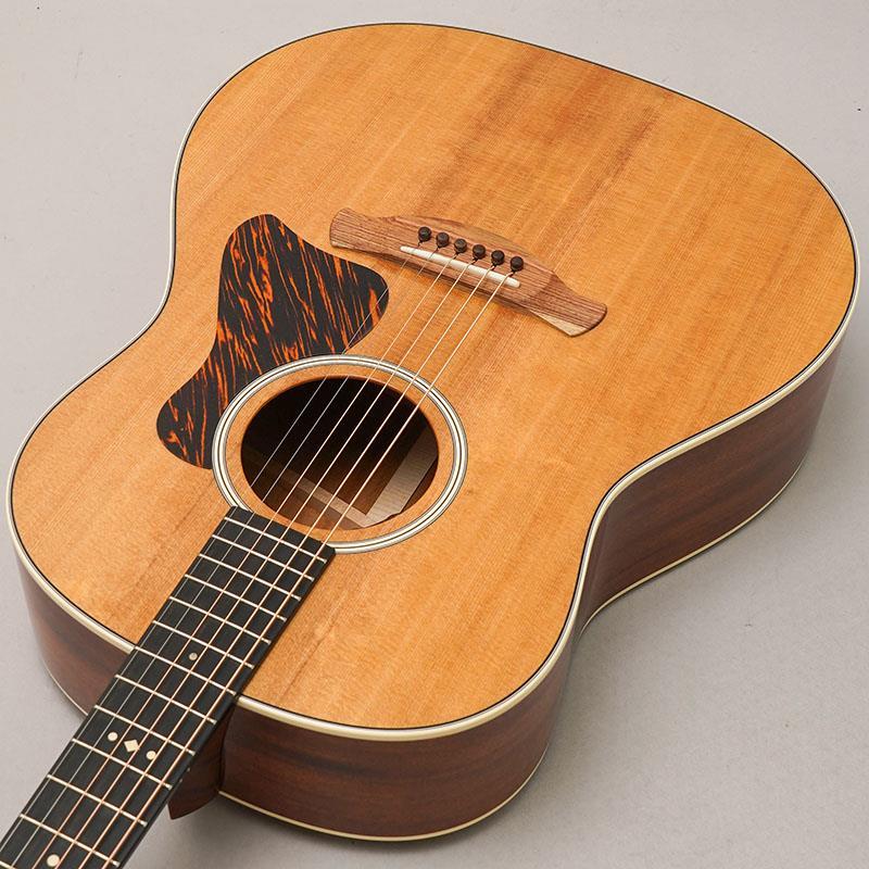 TAYLOR Gold Label 517e テイラーの画像