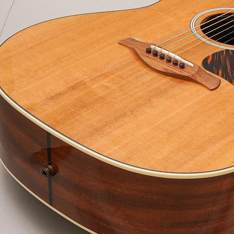 TAYLOR Gold Label 517e テイラーの画像
