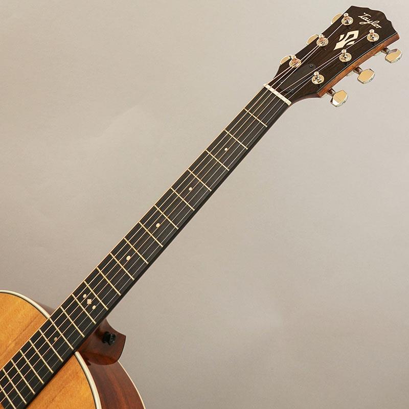 TAYLOR Gold Label 517e テイラーの画像