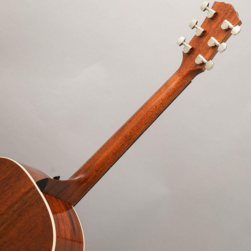 TAYLOR Gold Label 517e テイラーの画像