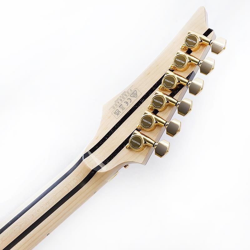 Ibanez（アイバニーズ） Ibanez Ikebe 50th Anniversary j.custom