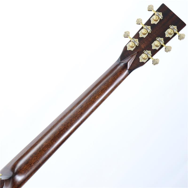 FONZO GUITARS V-34S SJFB/Bearclawの画像