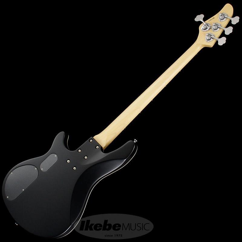 SCHECTER SCHECTER Progauge Artist Model Series PA-TM : 渋谷イケベ