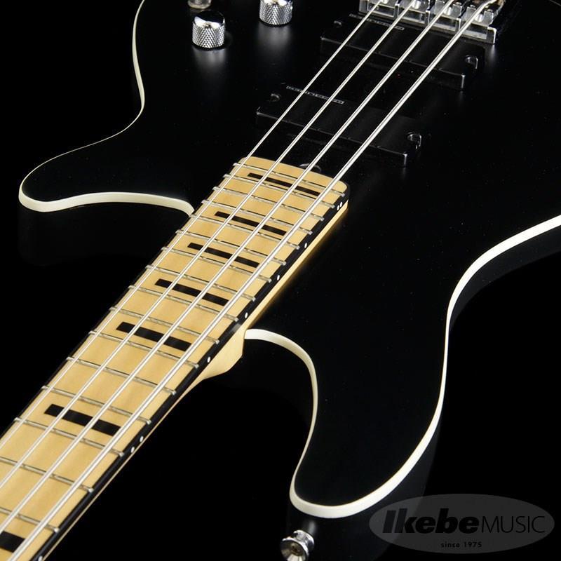 SCHECTER SCHECTER Progauge Artist Model Series PA-TM : 渋谷イケベ