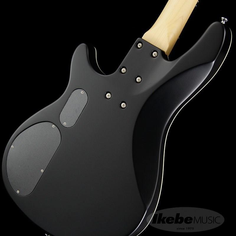 SCHECTER SCHECTER Progauge Artist Model Series PA-TM : 渋谷イケベ