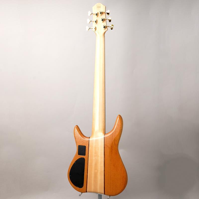 Phoenix GAP-618 Custom Bubinga_3