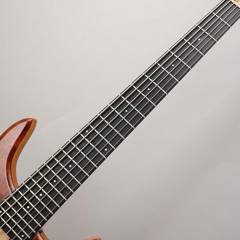 Phoenix GAP-618 Custom Bubinga_4