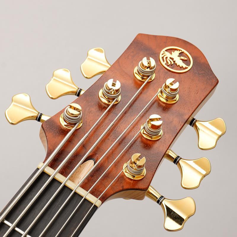 Phoenix GAP-618 Custom Bubinga_6