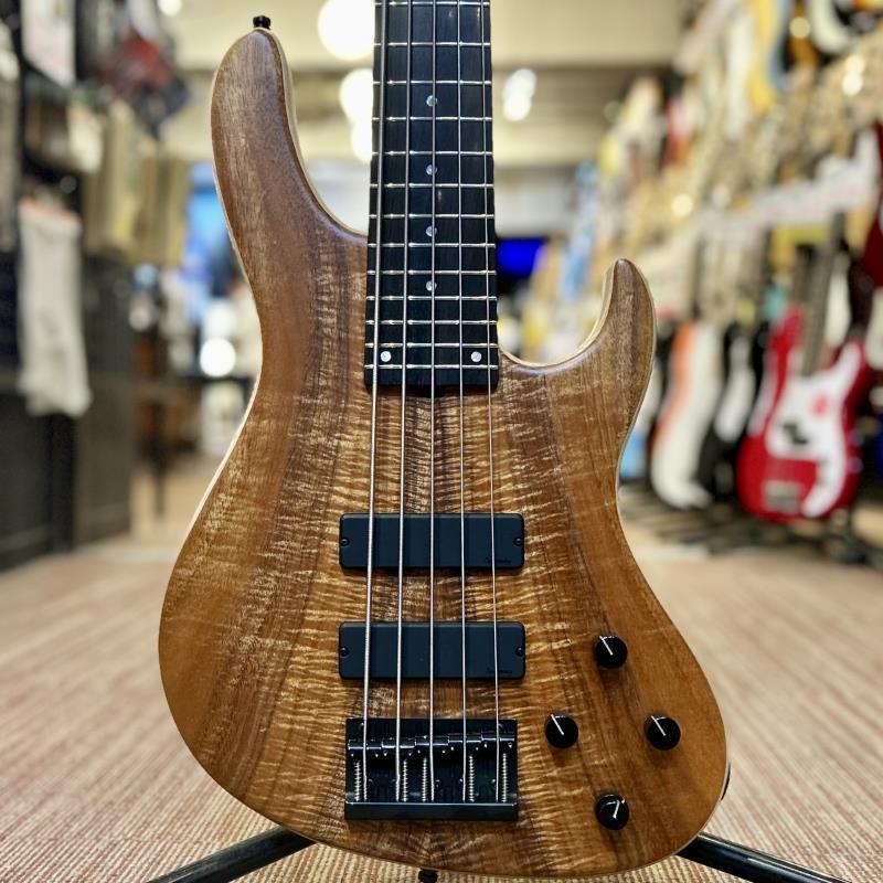 Sadowsky 5弦ベース　24フレット Sadowsky MetroLine 24-Fret Single Cut Bass | 5 String | Morado
