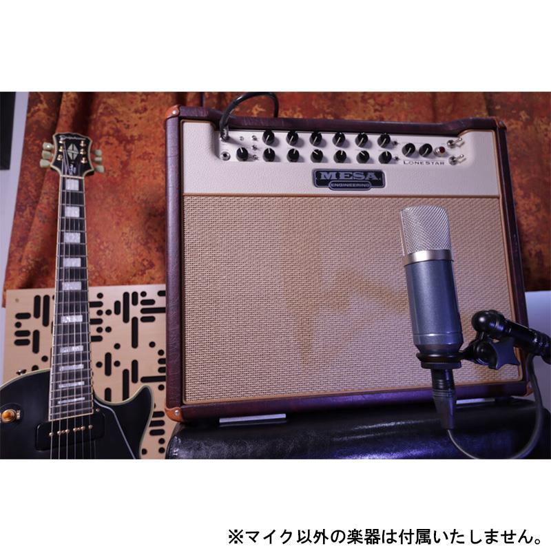 Roswell Pro Audio Cab Mic -Guitar Microphone (ロズウェル)(ギターアンプ専用マイク)(コンデンサーマイク)(カーディオイド)(ラージダイヤフ..._2