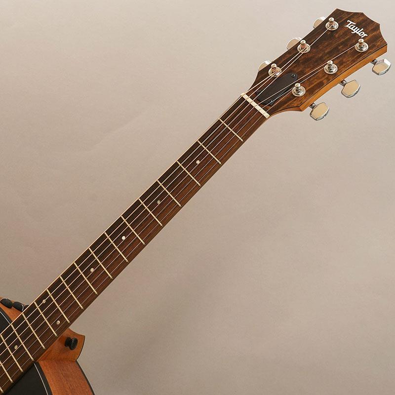 TAYLOR Japan LTD 117ce Blacktop テイラーの画像