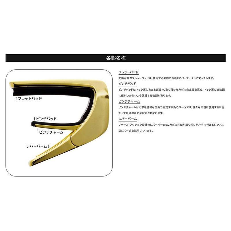 Thalia Capo 【新商品】Exotic Shell Series Chrome Kentucky Bourbon Abalone タリアカポ_2