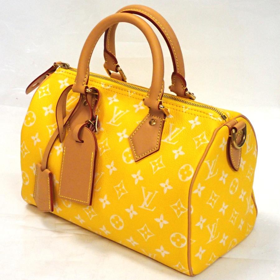 ✨極美品❗️✨ルイヴィトン エピ スピーディ25 ジョーヌ