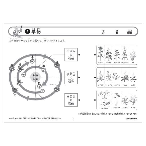 七田式 七田式〜理科ソングプリント生物編 : しちだ・教育研究所 Yahoo
