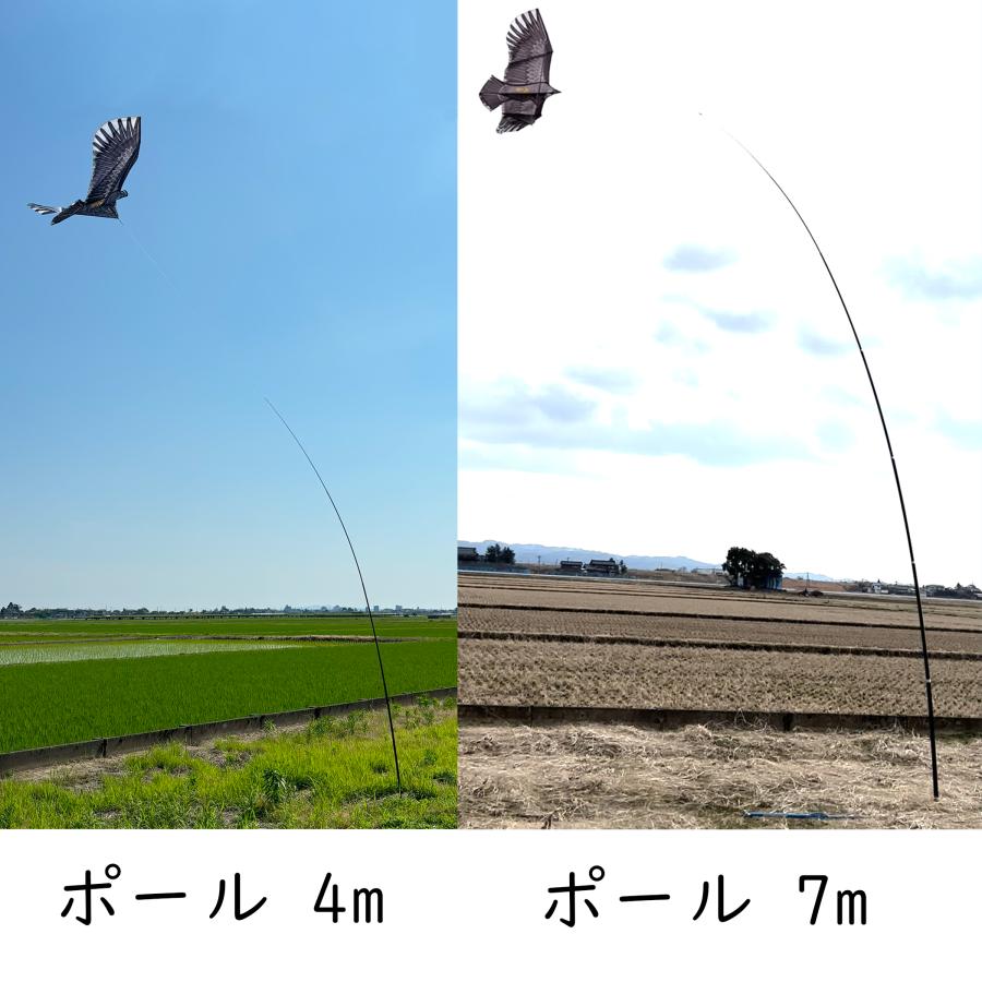 護鷹用7m伸縮ポール・支柱・ヒモ(鷹無し) (株)コジマ 鳥よけ 防鳥