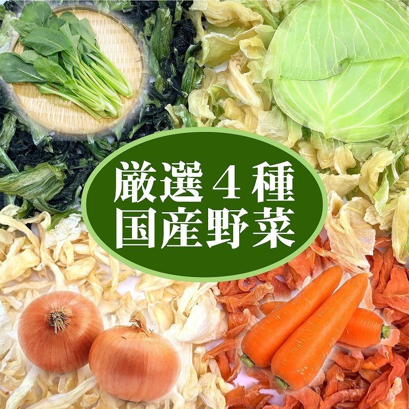 送料無料 乾燥野菜国産ミックス 100g キャベツ にんじん 小松菜 玉ねぎ