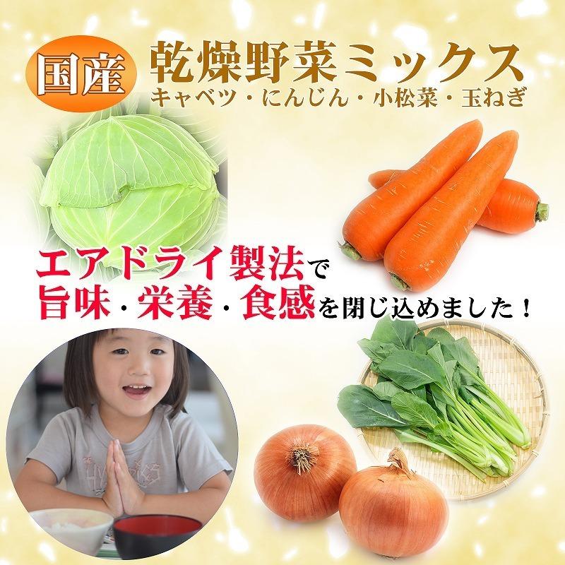 送料無料 乾燥野菜国産ミックス 100g キャベツ にんじん 小松菜 玉ねぎ