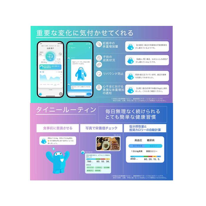 未使用 新品】【在庫1点大特価】 issin スマートバスマット Smart Bath