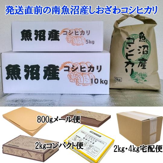令和7年南魚沼産コシヒカリ乾式無洗米2kg | コシヒカリ | 01