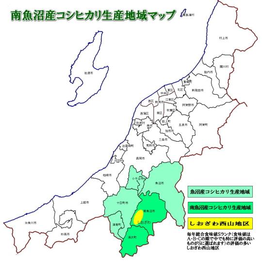 令和7年南魚沼産コシヒカリ乾式無洗米2kg | コシヒカリ | 08