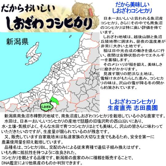 令和7年南魚沼産コシヒカリ乾式無洗米2kg | コシヒカリ | 09