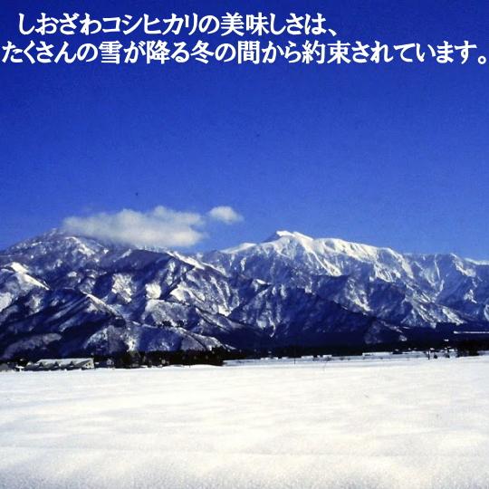 令和7年南魚沼産コシヒカリ乾式無洗米2kg | コシヒカリ | 10
