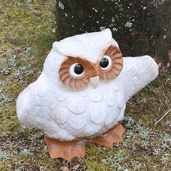 信楽焼 ふくろう 陶器 フクロウ 置物 かわいい おしゃれ ギフト 玄関