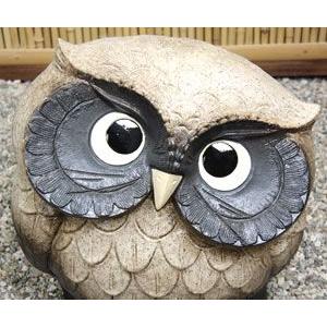 信楽焼 ふくろう 陶器 フクロウ 置物 かわいい おしゃれ ギフト 玄関