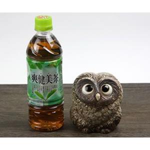 信楽焼 ふくろう 陶器 フクロウ 置物 かわいい おしゃれ ギフト 玄関