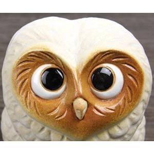 信楽焼 ふくろう 陶器 フクロウ 置物 かわいい おしゃれ ギフト 玄関