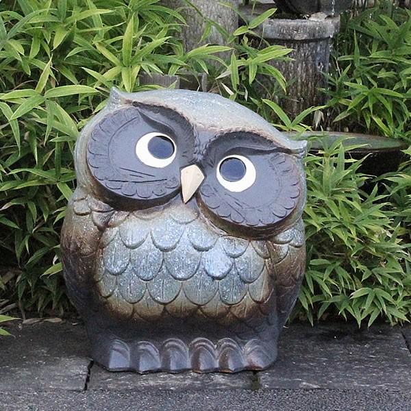 信楽焼 ふくろう 陶器 フクロウ 置物 かわいい おしゃれ ギフト 玄関