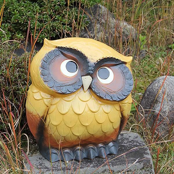 信楽焼 ふくろう 陶器 フクロウ 置物 かわいい おしゃれ ギフト 玄関