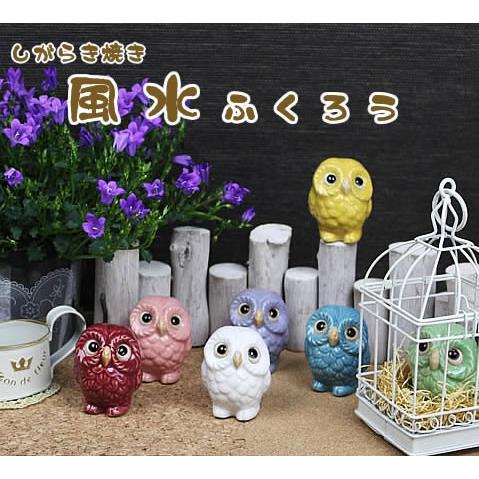 信楽焼 ふくろう 陶器 フクロウ 梟 置物 かわいい おしゃれ ギフト