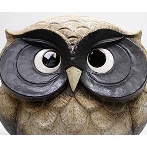 信楽焼 ふくろう 陶器 フクロウ 置物 かわいい おしゃれ ギフト 玄関