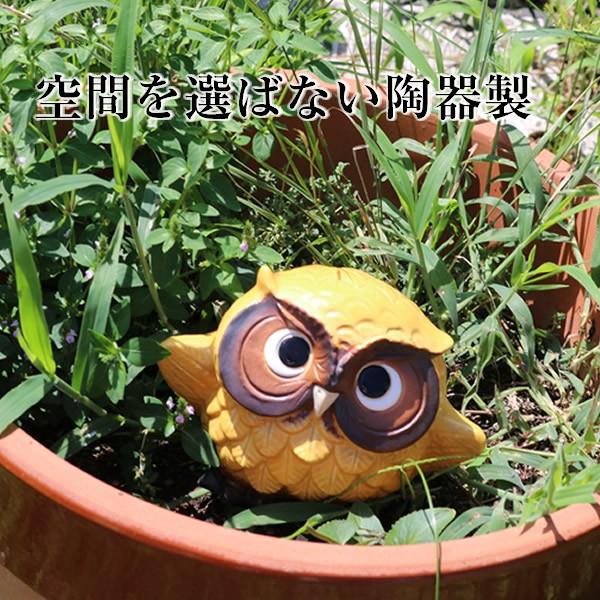 信楽焼 ふくろう 陶器 フクロウ 置物 かわいい おしゃれ ギフト 玄関