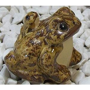 信楽焼 蛙 置物 かえる 陶器 縁起物 かわいい カエル おしゃれ ギフト