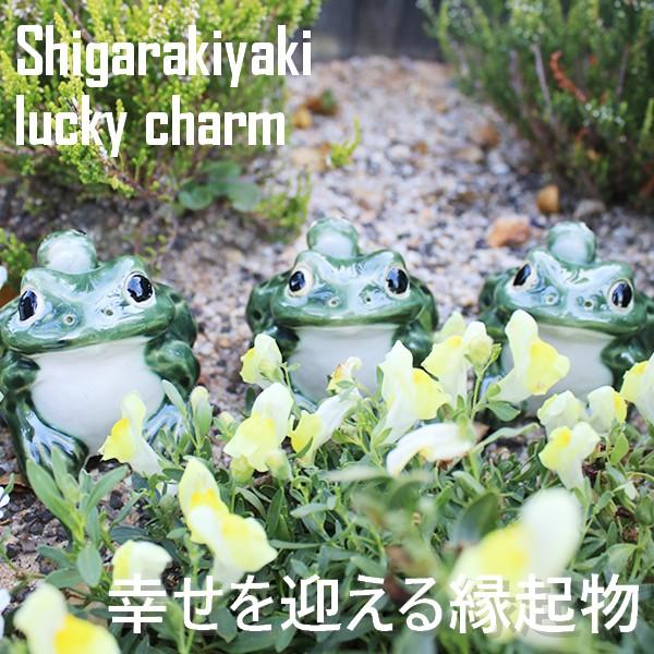 信楽焼 蛙 置物 かえる 陶器 縁起物 かわいい カエル おしゃれ ギフト