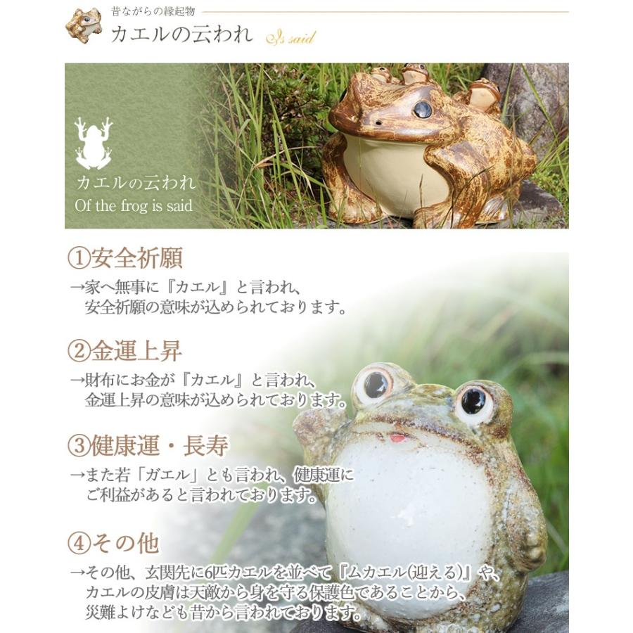 信楽焼 蛙 置物 かえる 陶器 縁起物 かわいい カエル おしゃれ ギフト