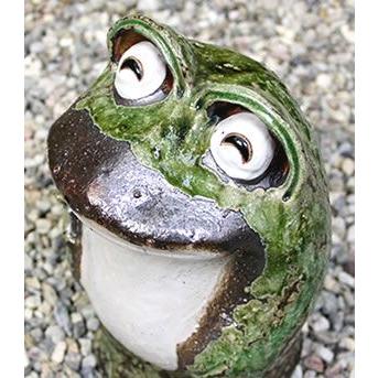 信楽焼 蛙 置物 かえる 陶器 縁起物 かわいい カエル おしゃれ ギフト