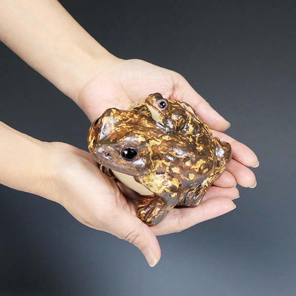信楽焼 蛙 置物 かえる 陶器 縁起物 かわいい カエル おしゃれ 信楽焼 蛙 置物 かえる 陶器 縁起物 かわいい カエル おしゃれ