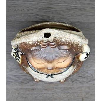 信楽焼 蚊やり 蚊取り タヌキ蚊やり器 陶器 蚊やり器 蚊遣り器 焼き物