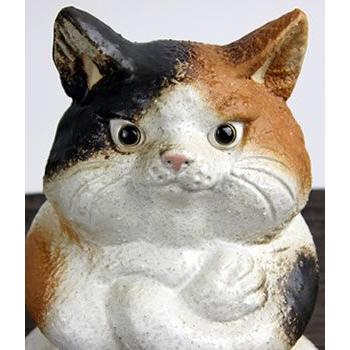 信楽焼 猫 置物 可愛い 陶器 ネコ ねこ 置物 しがらき インテリア